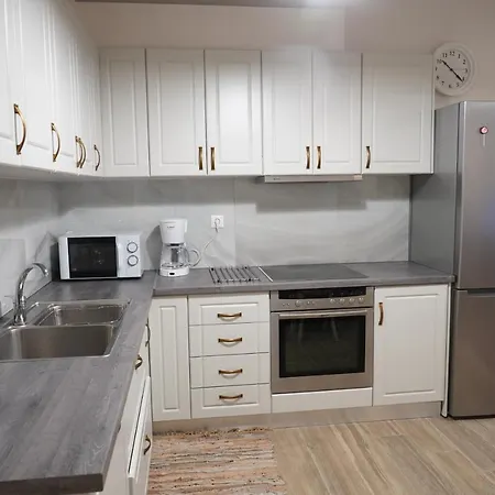 Downtown With Parking Appartement *